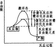 催化作用|催化:定義,發展史,原理,降低活化能,作用方式,性能指標,。